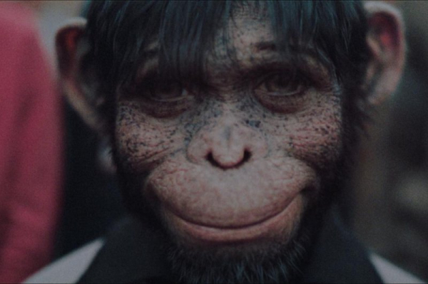 'Better Man' director: Monkey Robbie Williams allowed 'pure imagination'
