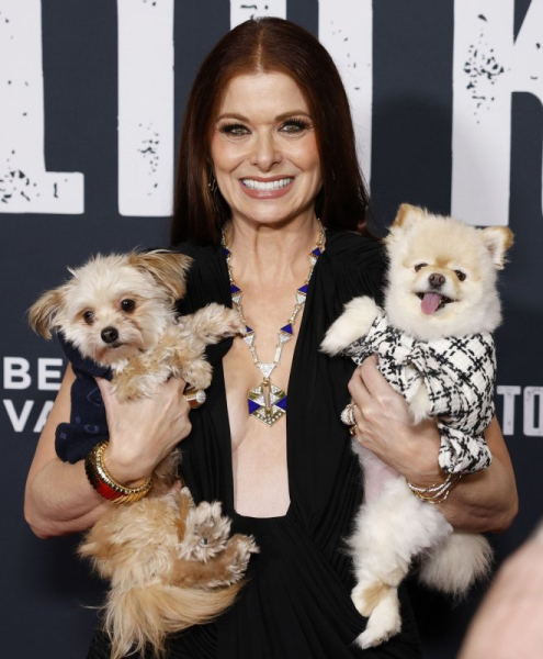 Debra Messing: 'Alto Knights' character shields husband from mob violence