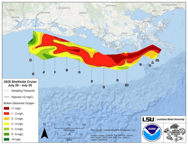 NOAA says Gulf of Mexico dead zone is smaller this year