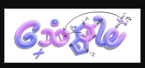 Google Doodle dives into DNA