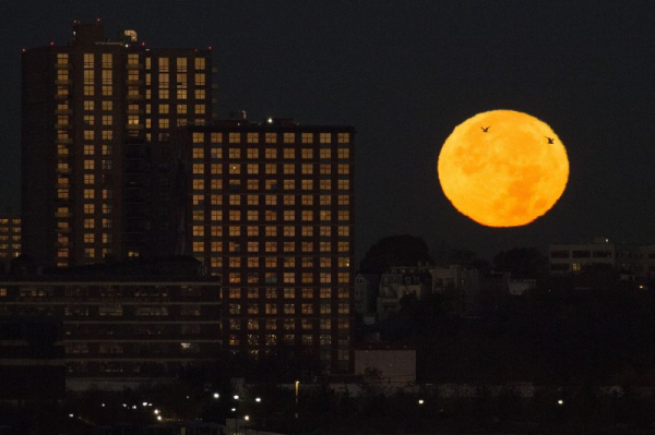 Super Harvest Moon, 2 meteor showers to light up October nights
