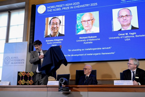 3 scientists win Nobel in chemistry for work in molecular architecture