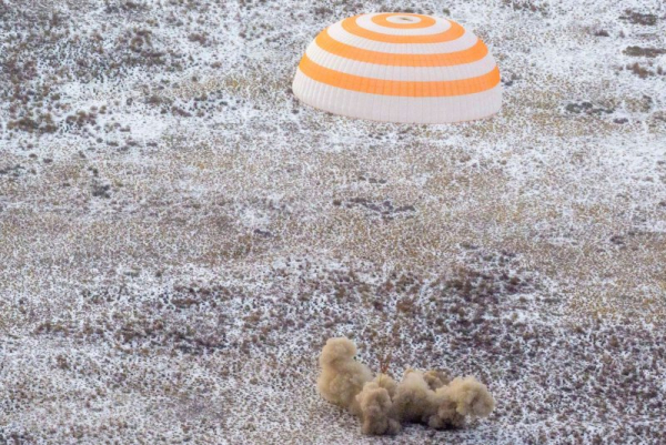 Astronaut Jonny Kim safely returns from ISS, proclaims: 'Love is the greatest thing'
