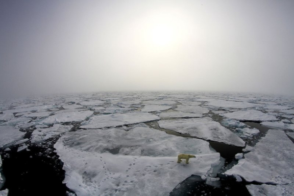 NOAA's Arctic report outlines how its winter's being 'redefined'