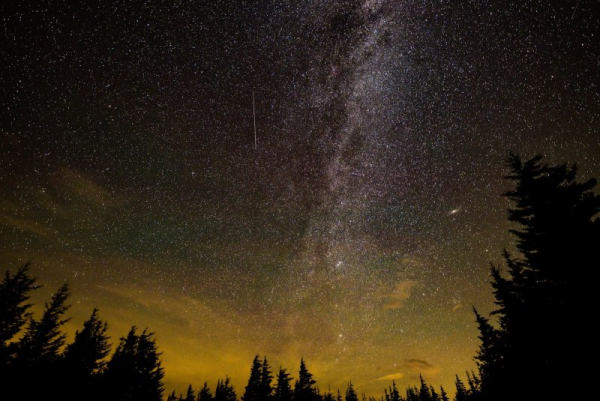 Ursid meteor shower to dazzle night sky in 2025's final celestial event